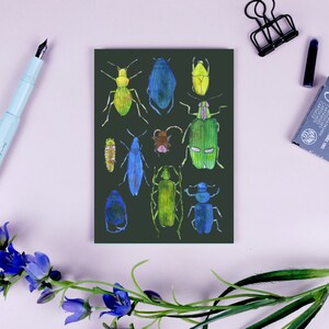 Postkarte "Käfer"