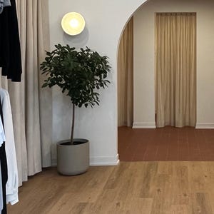 May include: A potted green plant with dark leaves in a smooth, cylindrical grey planter. The plant stands next to a white wall with a circular wall-mounted light fixture. The interior space features an arched doorway and light-coloured curtains.