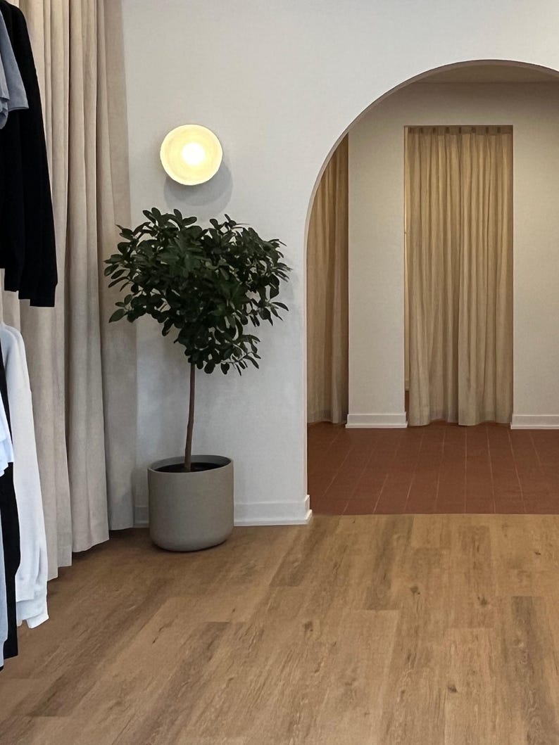 May include: A potted green plant with dark leaves in a smooth, cylindrical grey planter. The plant stands next to a white wall with a circular wall-mounted light fixture. The interior space features an arched doorway and light-coloured curtains.