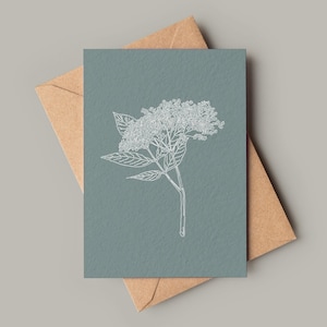 Fleur de sureau ~ Carte de voeux vierge A6 texturée ~ Forêts butineuses en quête de nourriture Nature anniversaire Sarcelle Sureau Fleurs de sureau Cartes pour la fête des Mères maman mignonne