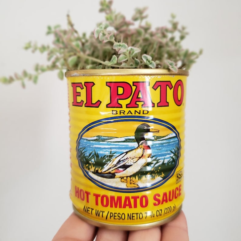 Small El Pato Tin Can Spanish Planters Decorations for Etsy