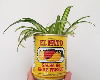 Small El Pato tin can Spanish planters decorations for wedding, babyshower, hot sauce planters Mexican theme succulents, fiesta event cactus