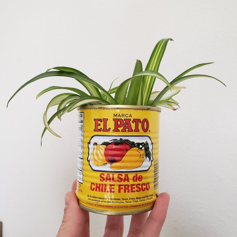 Small El Pato Tin Can Spanish Planters Decorations for Etsy