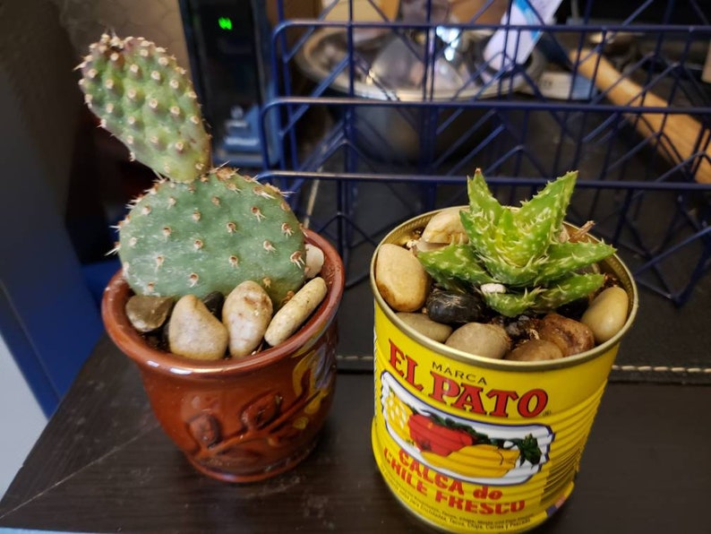 Small El Pato Tin Can Spanish Planters Decorations for Etsy