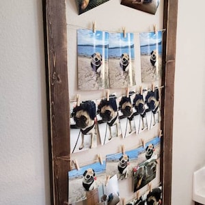 May include: A rustic wooden picture frame with a white background and multiple photos of dogs, some with sunglasses, attached with clothespins.