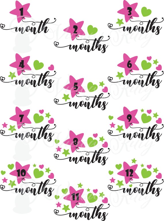 Download Baby Milestone Svg Bundle Star Balloons 1 12 Months Etsy