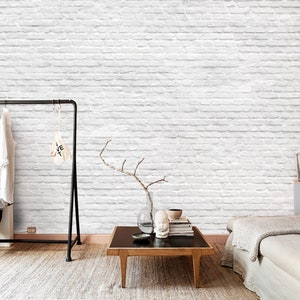 May include: A white brick wall with a white painted brick pattern. The wall is in a room with a couch, a coffee table, a plant, and a clothing rack.