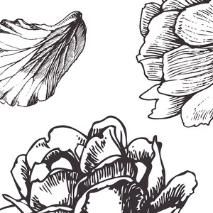 May include: Black and white line drawing of three flowers. The flowers are stylized and have a vintage look.