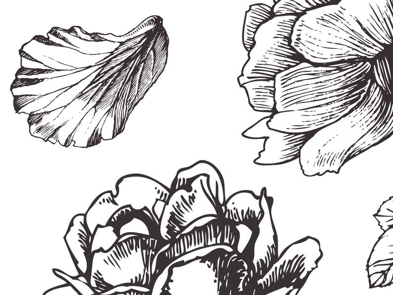 May include: Black and white line drawing of three flowers. The flowers are stylized and have a vintage look.