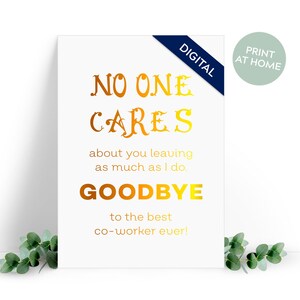 Printable Leaving Card - Pack of 3 colours. Instant DIGITAL download. Printable new job card - No one cares, goodbye.