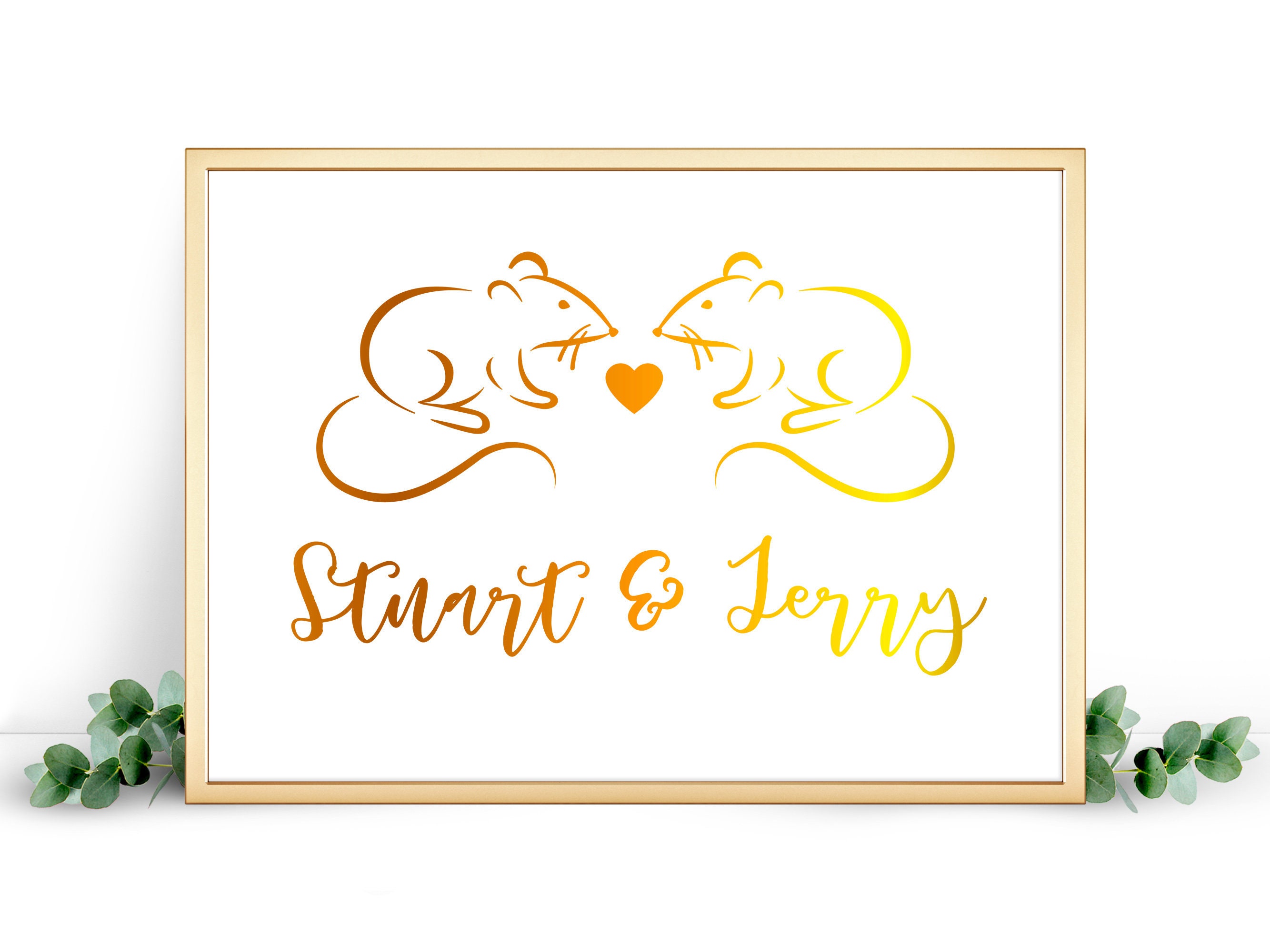 SURPRESA DE GERBO : r/gerbil, image size:2667x2000