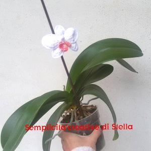 Orchidea all&#39;uncinetto da &quot;Pinzare&quot; al vostro vaso!