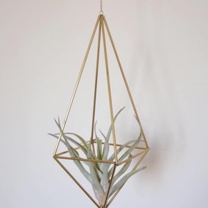 Brass Himmeli Airplant Hanger No.1