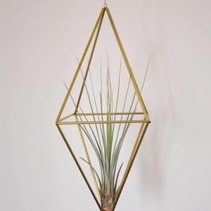 Brass Himmeli Airplant Hanger No.3