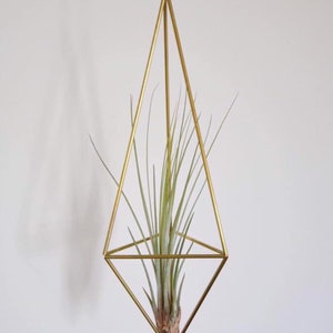 Brass Himmeli Airplant Hanger No.2