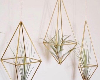 Trio - Brass Himmeli Airplant Hangers