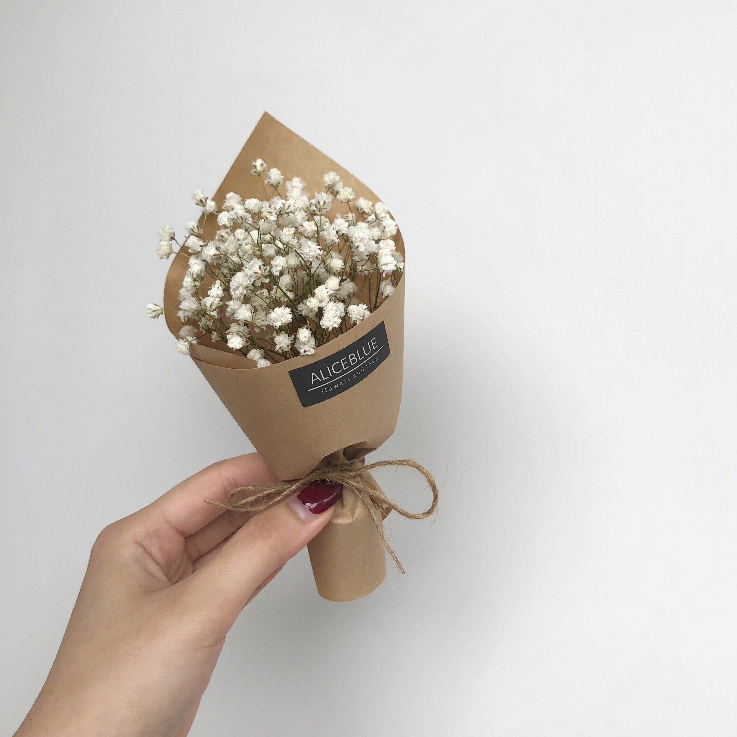 Popvcly Mini Bouquet Flowers-Natural Handmade Dried Flower Bouquet with  Gift Box Packaging,for Valentine's Day Gifts 