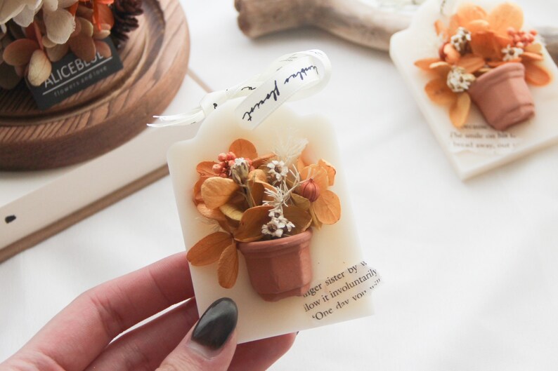Soy Wax Scented Air Freshener/ Sachet - Butter Nut - Etsy Canada