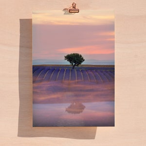 Lavender Fields of Provence, Lavender Print, Provence Print, France Photography, Travel Photography, France Wall Art, Lavender Field Print
