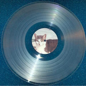 Create/Make your own 12 inch 30cm clear vinyl 33 RPM custom vinyl LP - personal music choice from mixtape/playlist. 12-54 minutes Bild 10