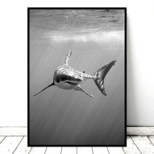 Printable Art Poster Great White Shark Monochrome Nature Wall Art ...