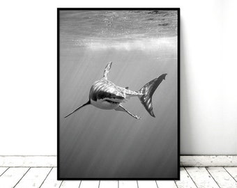 Printable Art Poster Great White Shark Monochrome Nature Wall - Etsy