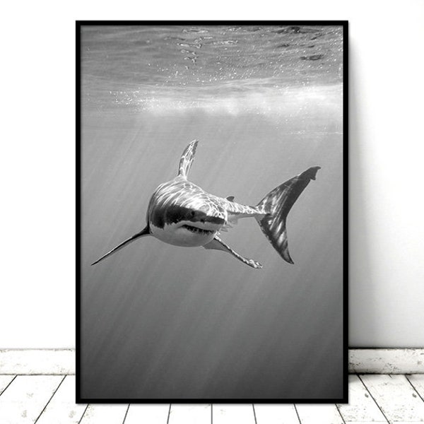 Printable Art Poster Great White Shark Monochrome Nature Wall Art. Printable *INSTANT DOWNLOAD PDF* A2, A3, A4, resizable