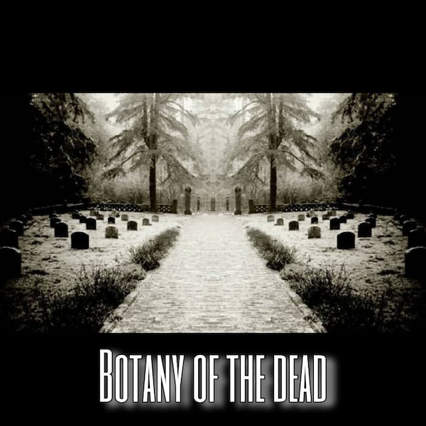 Botany of the dead, online class download