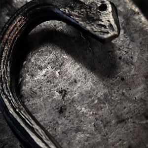 May include: Close-up of a handcrafted, metal snake sculpture. The snake is dark with lighter, textured markings, and a detailed head with an eye. The sculpture is set against a textured, gray surface, showcasing the craftsmanship.