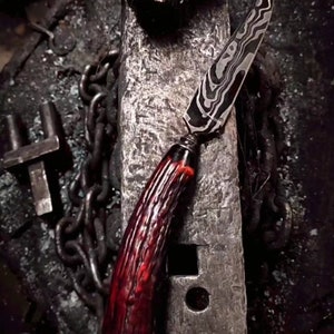 Antler damascus ritual blade, turned bolster integral knife