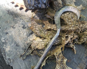 The Druids sickle scribe