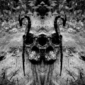 May include: Black and white image of a symmetrical skull sculpture with curved horns. The skull has detailed features and is set against a textured wooden surface, creating a gothic aesthetic.