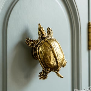 May include: A brass-colored metal cabinet knob shaped like a turtle with a textured shell and extended limbs. The knob is mounted on a light blue cabinet door with an arched panel design. The turtle is positioned with its head pointing upward.