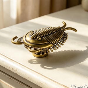 May include: A brass-toned metal cabinet knob shaped like a trilobite fossil. The knob features a segmented, oval-shaped body with detailed ridges, curved antennae, and a central mounting base. The text Pures tyle is visible in the bottom right corner.