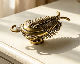 Antique Brass Trilobite Cabinet Knob, Fossil Animal Drawer Knob, Brass Handles Pulls, Vintage Furniture Hardware for Cupboard Dresser