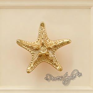 Knopp i massiv mässing med sjöstjärna: Modern byråhandtag, lådbeslag, konstdekorhandtag