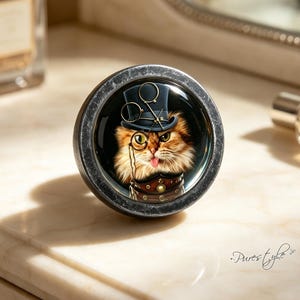 Steampunk kattknoppar Handgjorda vintage antika byråknoppar Handtag Handgjorda möbelknoppar Skåpknoppar DIY-handtag Möbelbeslag