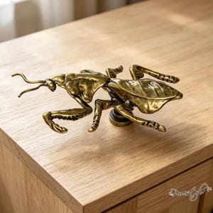 May include: A brass-toned metal cabinet knob shaped like a praying mantis. The insect figure features detailed wings, segmented legs, and long antennae, with a circular mounting base underneath the body for attachment to furniture surfaces.