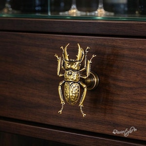 Op de afbeelding: Een messingkleurige metalen ladeknop in de vorm van een vliegend hert met opvallende kaken en getextureerde vleugels. Het insectvormige beslag is gemonteerd op een donkerbruine houten ladefront met een ronde basisbevestiging.