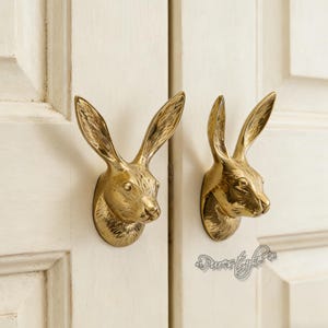 Rabbit Solid Brass Cabinet Knob: Modern Dresser Pull, Cabinet Hardware, Furniture Decor