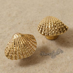 Pomello per mobile Shell in ottone massiccio: maniglia moderna per cassettiera, ferramenta per mobili, decorazione per mobili.