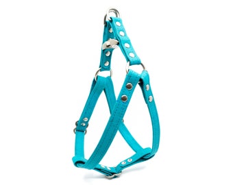 Teal Cork Dog Harness