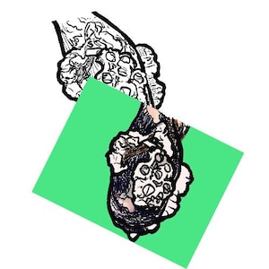 Puede incluir: Dibujo en blanco y negro de una mano sosteniendo un ramo de flores. Las flores están estilizadas y tienen un aspecto caprichoso.