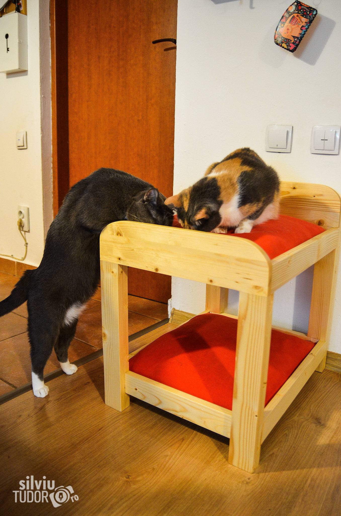 PET BUNK BED Pet bedding Pet furniture Cat furniture Dog Etsy