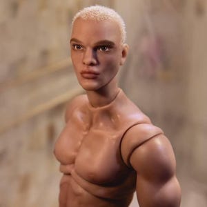 BJD doll male 1/6 scale