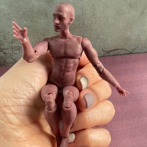 1/12  dollhouse and miniature male BJD doll 3d printed