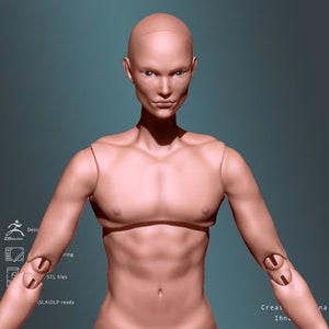 3d model  male bjd doll STL file for 3d printing