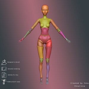 May include: A 3D model of a female figure, segmented into different colored parts, designed for 3D printing. The model is posed standing with arms outstretched, and the head is tilted slightly forward. The model is designed in Zbrush and is ready for FDM, SLA, and DLP printing.