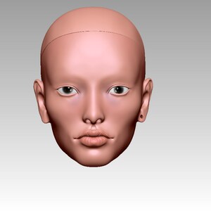 3d model BJD doll head male