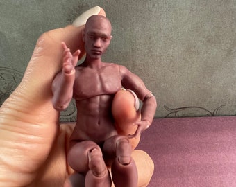 1/12 bambola bambola maschile bjd case e miniature